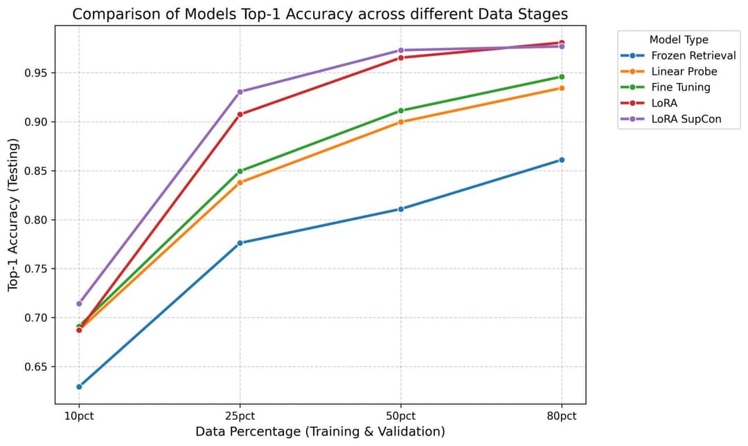 ViT Comparison Project Image